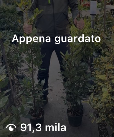91.3K visualizzazioni